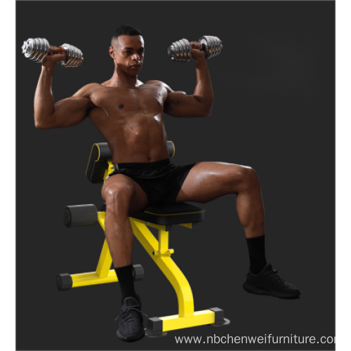 Adjustable Foldable Workout Sit up Dumbbell Bench Unisex